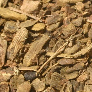 Yellow dock root herb