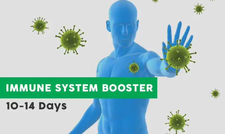 Immune System Booster (10 Day Plan)