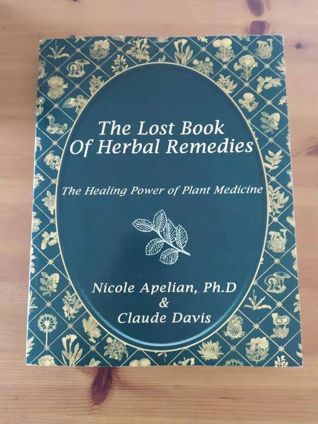 Lost book of remedies cover